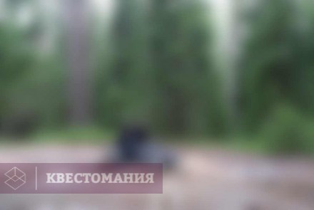 Городской квест Квест на квадроциклах