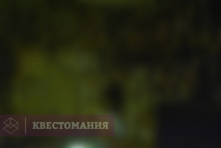 Квест-Перформанс Manhunt