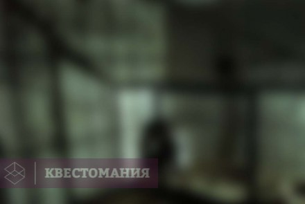 Квест-Перформанс Manhunt