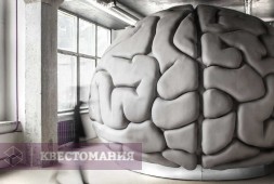 Мозг