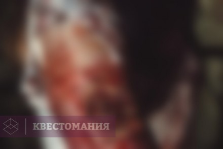 Квест Frida. Ужас Взаперти