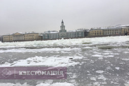 Кошачий Петербург, или Приключения кота Тимофея