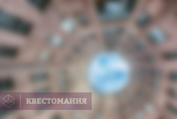 По Васильевскому острову с Братом