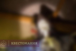 Тайна мертвого пирата