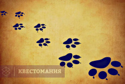 Побег кота Шредингера