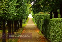 Петергоф: обзорная экскурсия по Нижнему парку