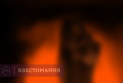 Безумство