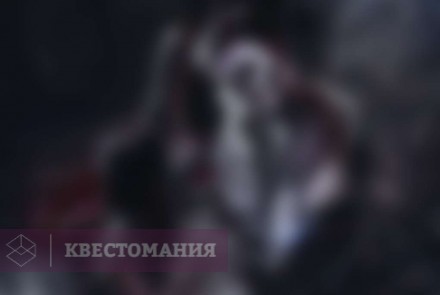 Квест-Перформанс Безумство