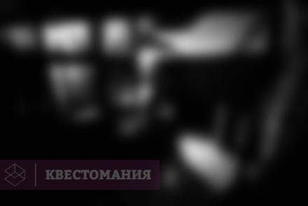 Квест-Перформанс Дворцовый квест