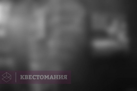 Квест-Перформанс Дворцовый квест