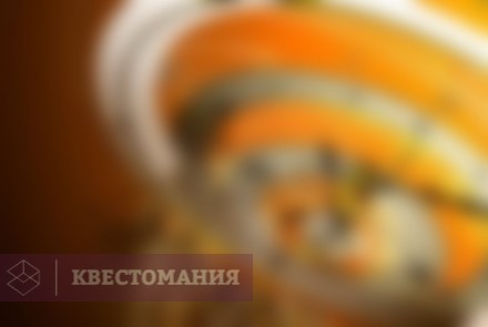 Городской квест Гости из будущего