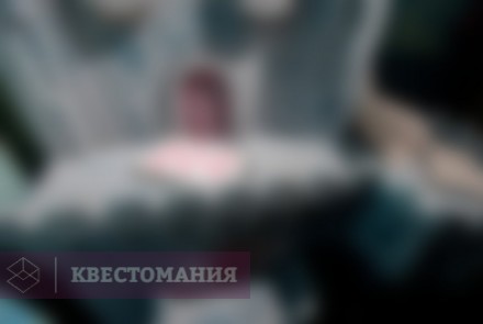 Квест Алиса в Стране чудес