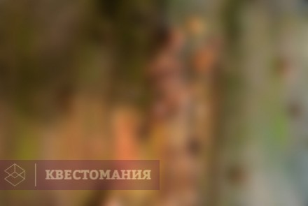 Квест Пиратский квест
