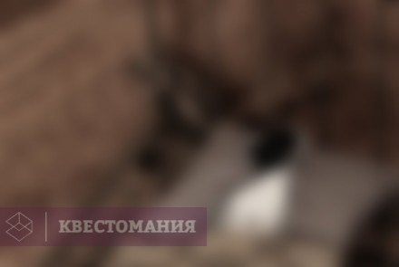 Квест Белый крест