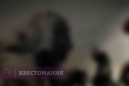 Ролевой квест Выжившие